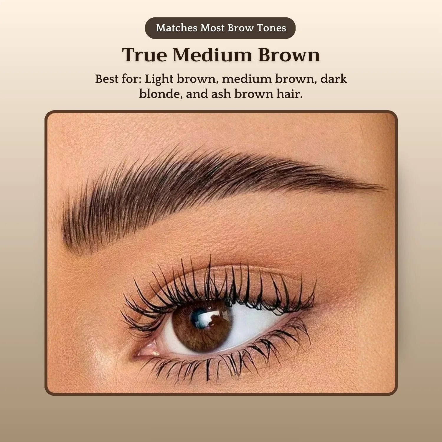 True Medium Brown brow shade — most versatile shade for light brown, medium brown, dark blonde and ash brown hair