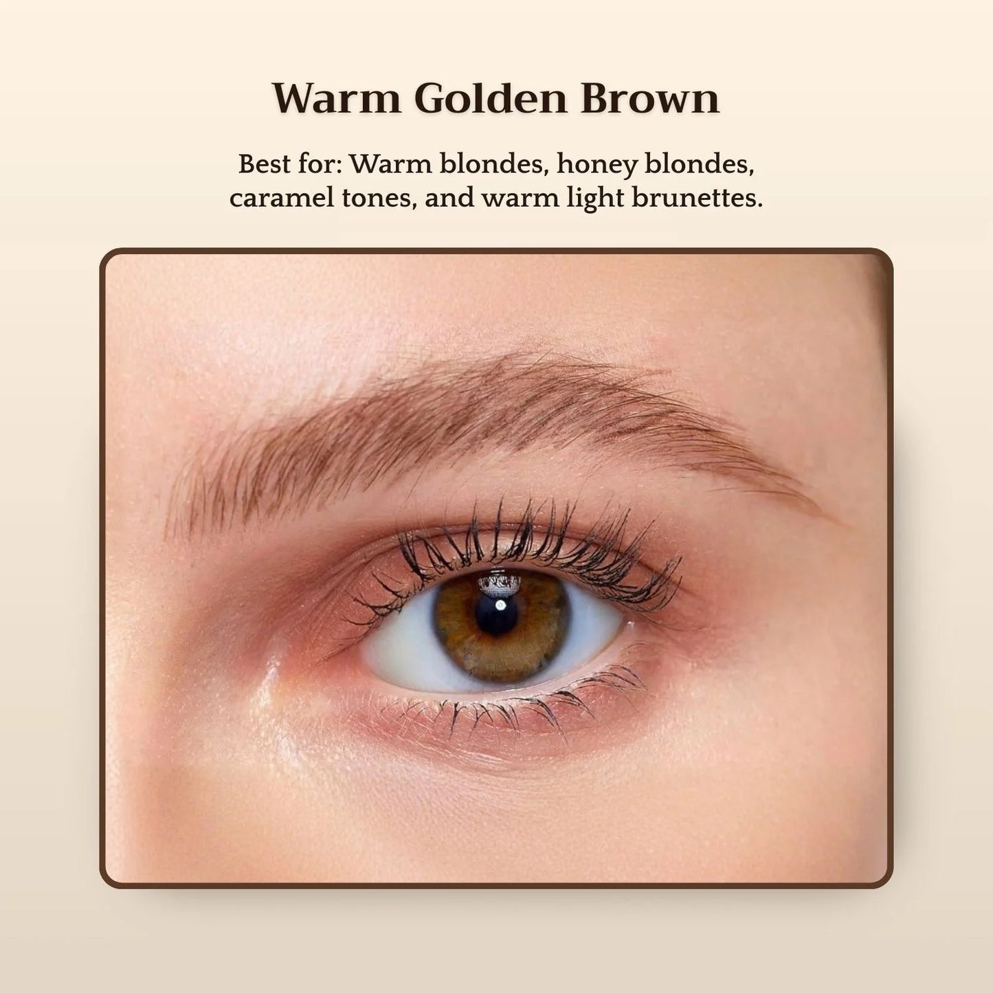 Warm Golden Brown brow shade — best for warm blondes, honey blondes, caramel tones and warm light brunettes